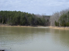 A picture of the Lake from the Park Area